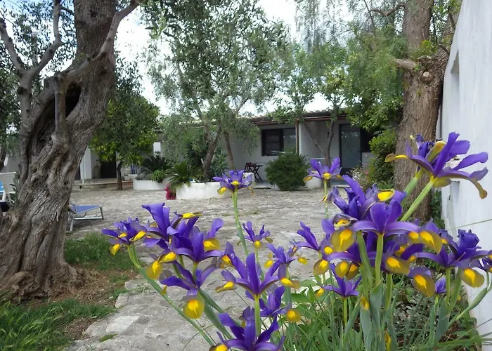 B&B Masseria Liberatore