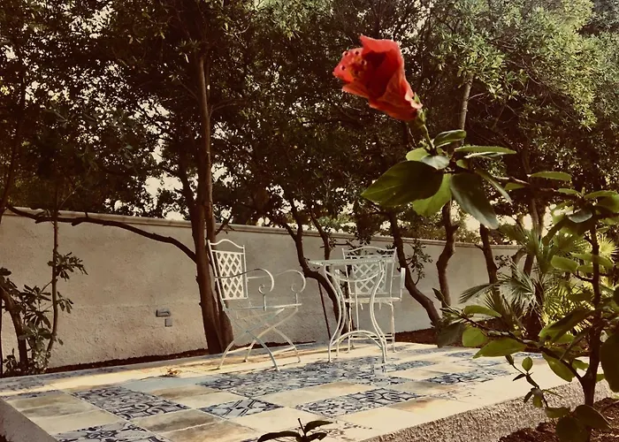 Erpi Vacanze Di Palmate' Cinzia