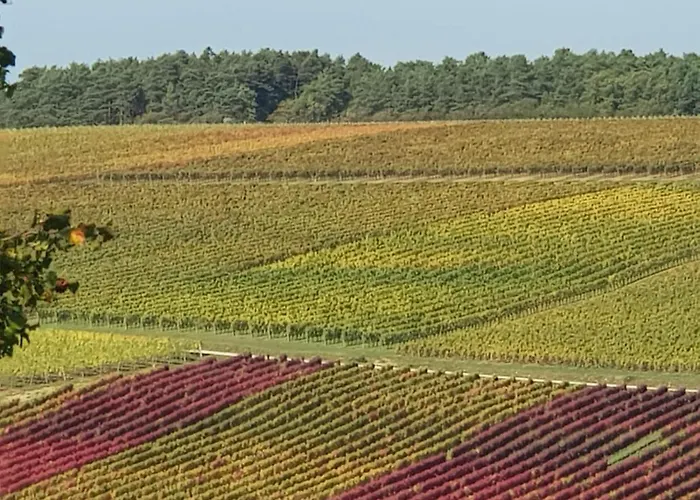 Le Bois De Laval