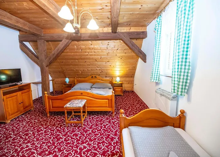 Hotel Svaty Hubert Boží Dar