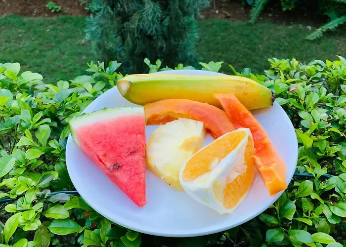Mynt Retreat Bed & Breakfast