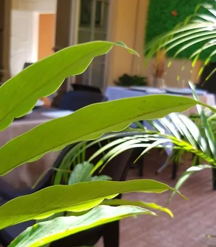 Mh Boutique Hotel