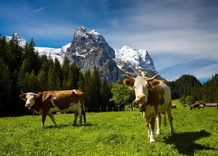 Gasthof Zur Post